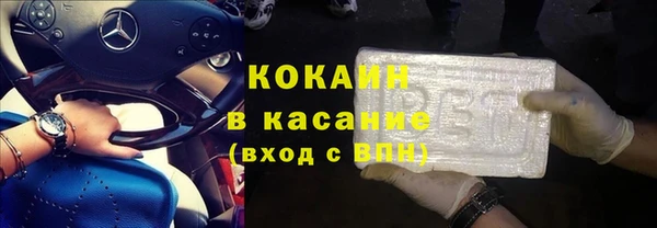 гидра Белокуриха