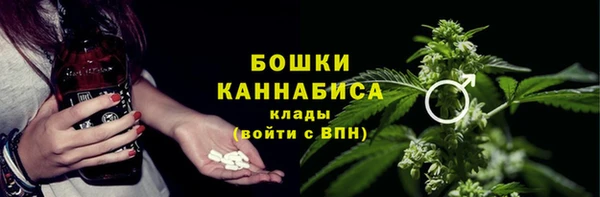 гидра Белокуриха