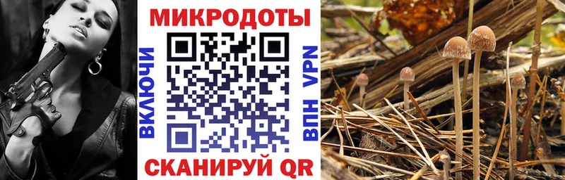 Псилоцибиновые грибы Psilocybe  гидра ONION  Шелехов  цены  